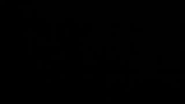 Aurora_Real webcam