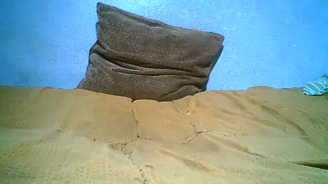 little__joy webcam