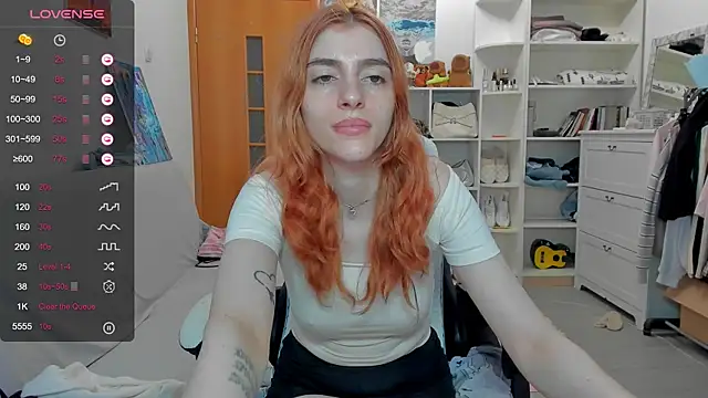 broosnica1 webcam