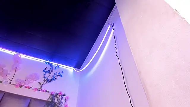 abbiecollins_js webcam