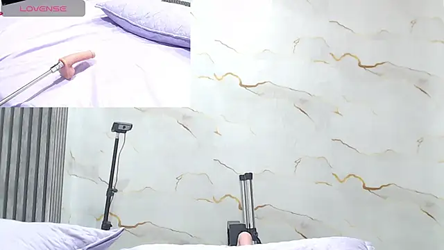 Liaa_cams webcam