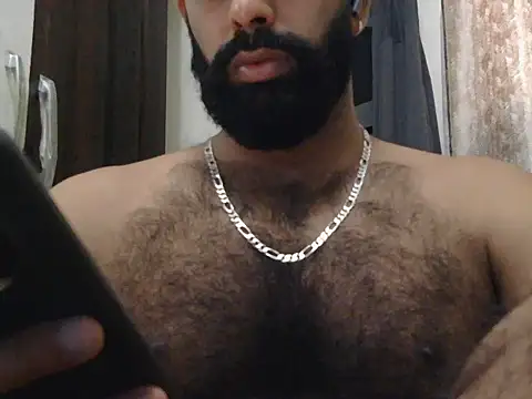 indianhairybull webcam
