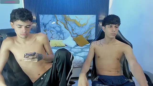 Estiv18_ live cam