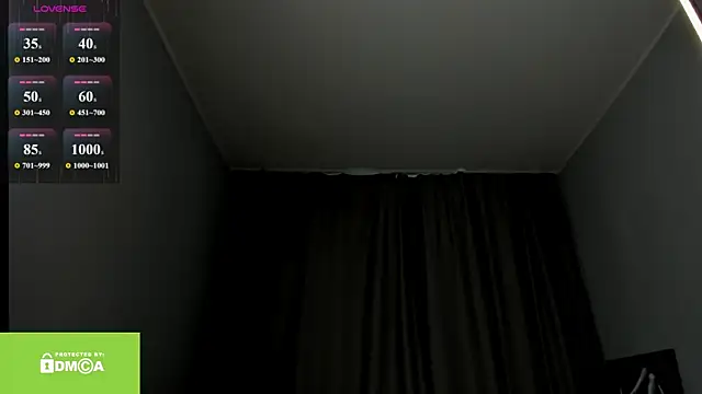 Vanaldienn webcam