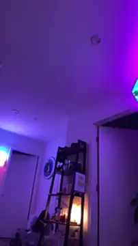 allpawgsgotoheaven live cam