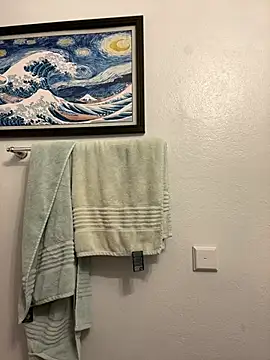 TheDime webcam