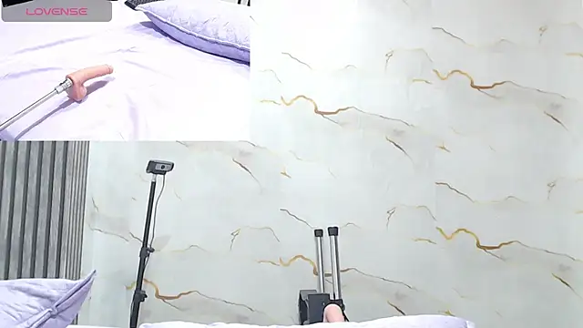 Liaa_cams webcam