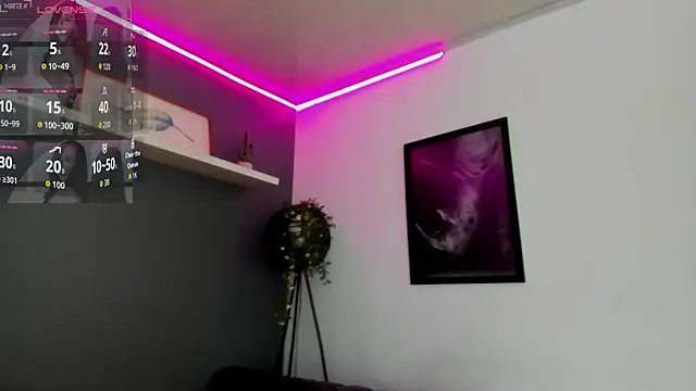 Abbyy_stone webcam