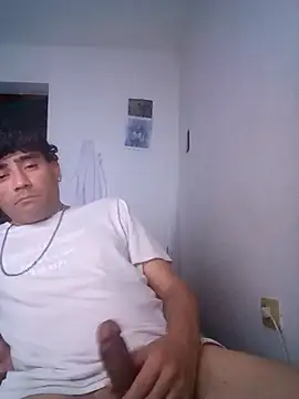 wa379 live cam