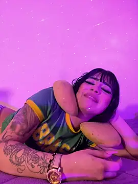 -Brittanny webcam