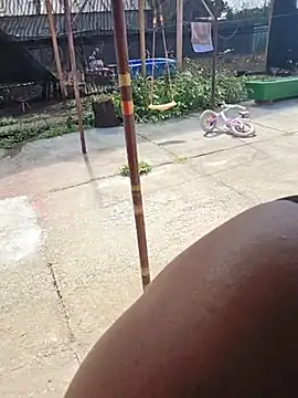 Diana_Diafan webcam