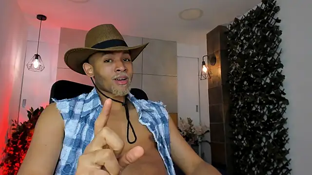 B_Wild webcam