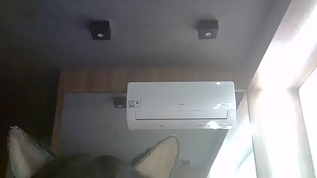 SkinnyKitten live cam