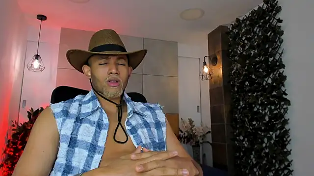 B_Wild webcam