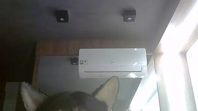 SkinnyKitten live cam