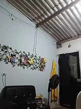master_juju1924 webcam