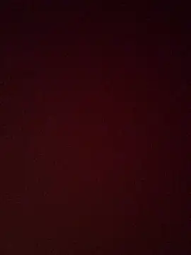 pinkflag webcam