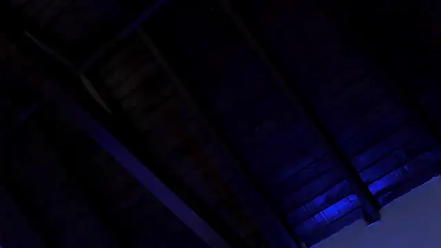 TonyPetrovjs webcam