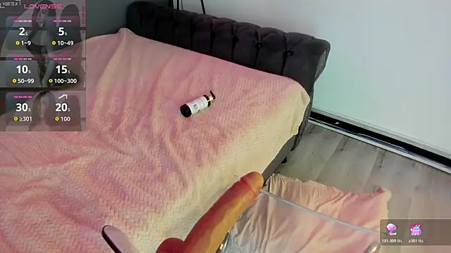 Abbyy_stone webcam