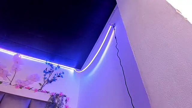abbiecollins_js webcam
