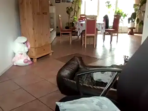 Nobbie444 live cam