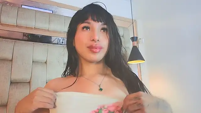 MeelFox webcam