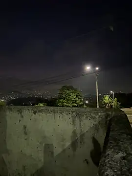 lindaandtony live cam