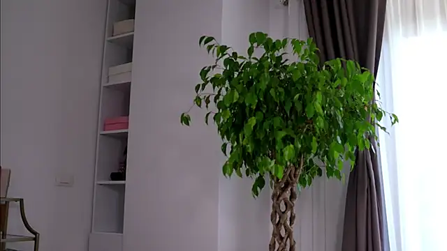 TheMaddisonShow_ webcam