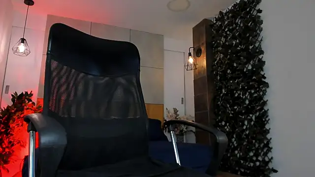 B_Wild webcam