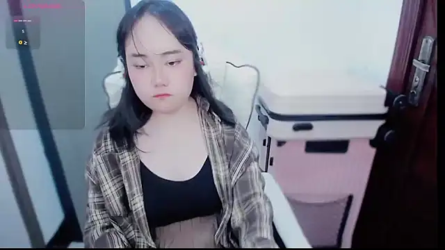 P999933 webcam
