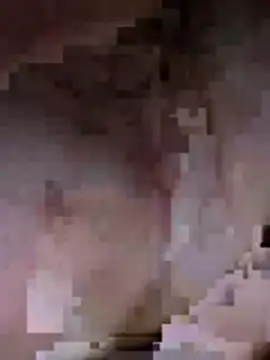 feoggt webcam