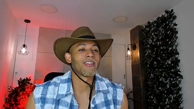 B_Wild webcam
