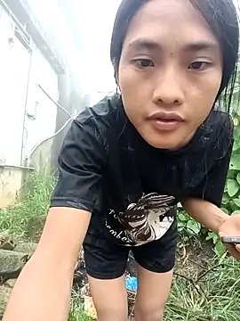 Hoa-tuylip