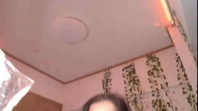 Viv_Player webcam