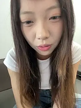 YY-1-1-1 webcam