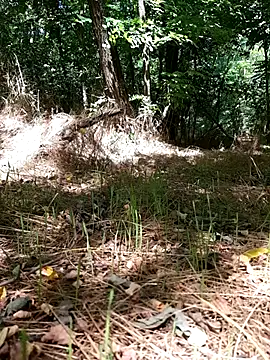 sile47 (Ask my age) - #cam2cam #cheap-privates #daddies #ejaculation #european #handjob #masturbation #medium #mobile #outdoor #romanian #shaven #straight #white