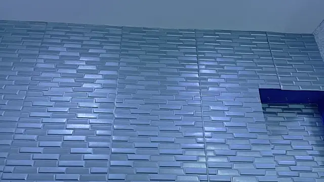 SeraphynLuxora webcam