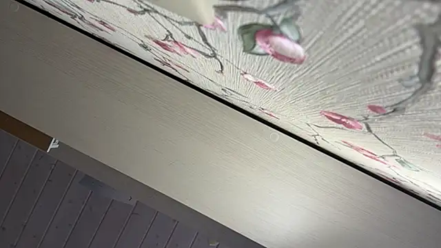 JoltingSmile live webcam