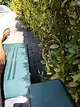 cum_spring live cam