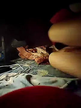 -Tara-a webcam