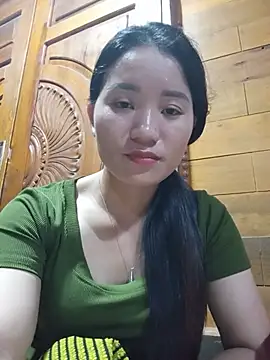 Td3di webcam