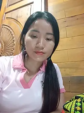Td3di webcam