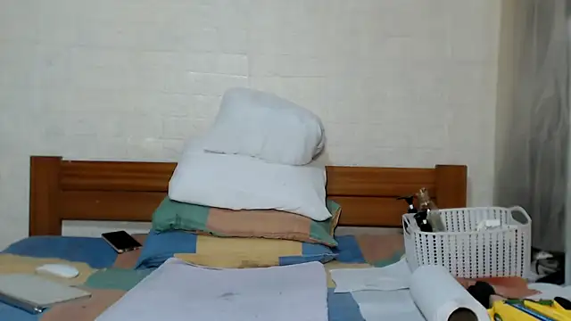 awild_kitten webcam