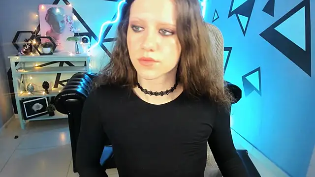 LidaDarknet webcam