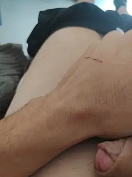 Lebarbu69020 webcam