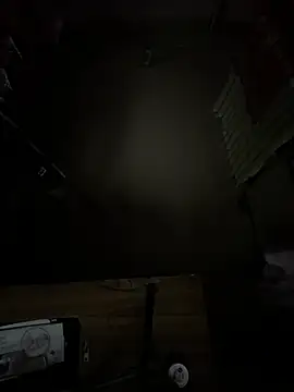 samyuthtwink webcam