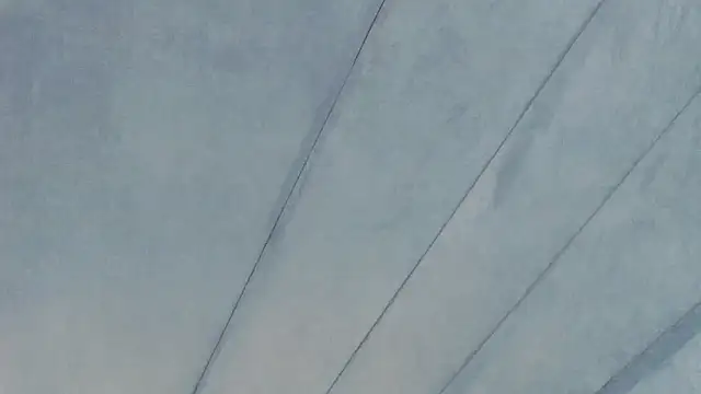 Evelisse live cam