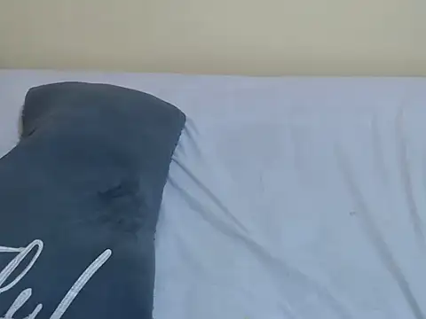 lynnsee webcam