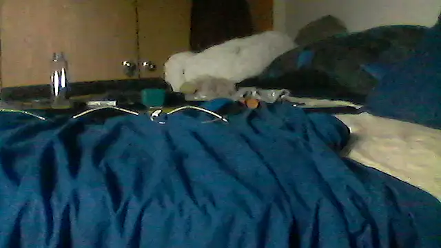 Silencio26 live cam on StripChat