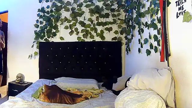 caribbeanlover1 - Caribbeanlover1's free webcam - UK Sex Cams